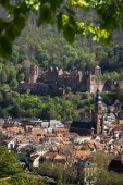 Tour a piedi di Heidelberg con visita al castello