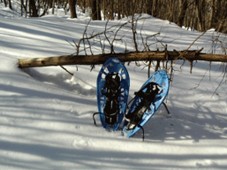 Escursione con Racchette da Neve - Umbria