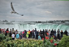 Visita guidata alle Cascate del Niagara con giro in elicottero