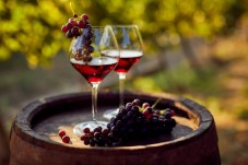 Cantina e Meditazione: Degustazione Vini e Visita Cantina