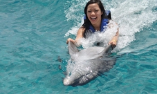 Nuota con i delfini a Isla Mujeres