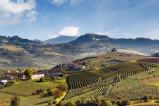 Degustazione di vini e prelibatezze locali presso la cantina Vicara a Monferrato