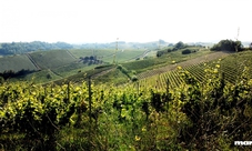 Visita privata e degustazione di vini esclusivi alla cantina Marenco di Strevi, Monferrato per 4