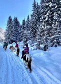Passeggiata a Cavallo 30 minuti in Val di Fassa