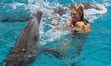 Nuota con i delfini a Isla Mujeres