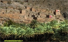 Viaggio in fuoristrada in Oman 1 Passeggero