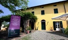 Dolcetto and Barbera wine tasting with winery tour in Monferrato