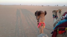 Safari nel deserto da Dubai