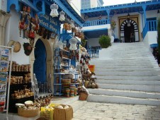 Excursion d'une journée à Carthage Sidi Bou Saïd et au musée Bardo de Sousse