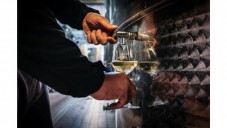 Visita della cantina + Premium Wine Experience nel vitigno di Marco Carpineti sui Monti Lepini