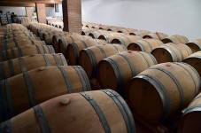 Visita cantina con Degustazione (2 vini) in Veneto