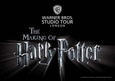 Tour Harry Potter Studios Famiglia con soggiorno 2 Notti Hotel***