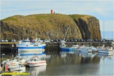 Meraviglie Natalizie dell'Islanda: Avventura di Gruppo