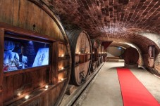 Tour del vino al Castello di Saint Martin