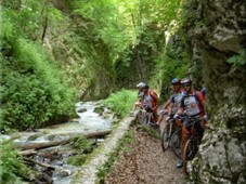 Mountain Bike per due - Umbria