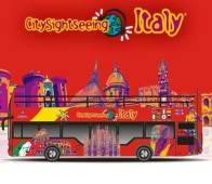 Tour in bus delle più famose città italiane