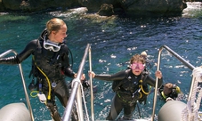 Diving experience for beginners in Santa Ponsa