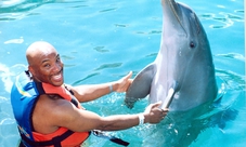 Tour nella Riviera Maya: Nuota con i delfini