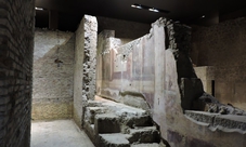 Tour guidato della casa di Augusto e del Colosseo