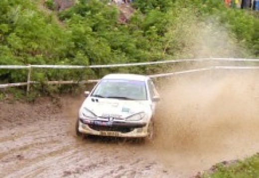 Guida Rally