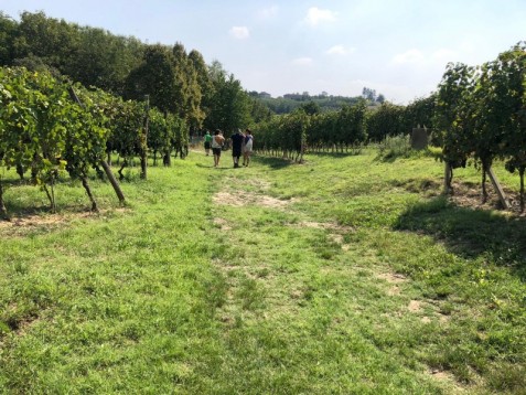 Tour in e-bike a Castagnole delle Lanze in Piemonte