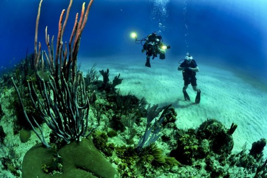 Snorkeling in Liguria