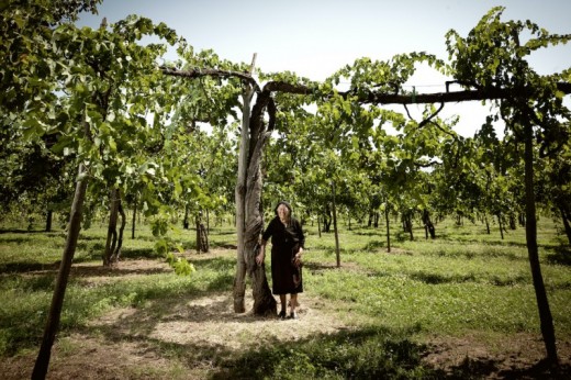 Visita della cantina con degustazione di 3 vini