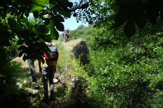 Escursione Lungo il Fiume con Degustazione in Calabria 