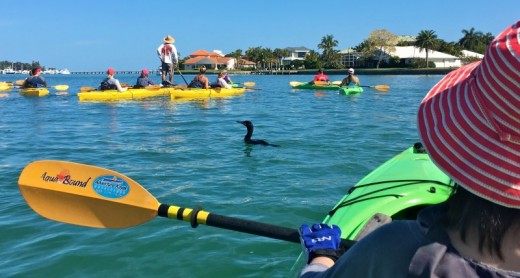 Escursione guidata in Kayak