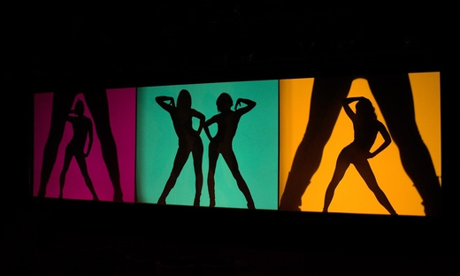 Crazy Horse - Biglietti per spettacolo cabaret
