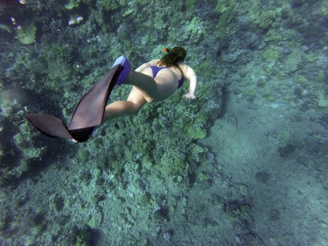 Escursione Snorkeling Puglia 