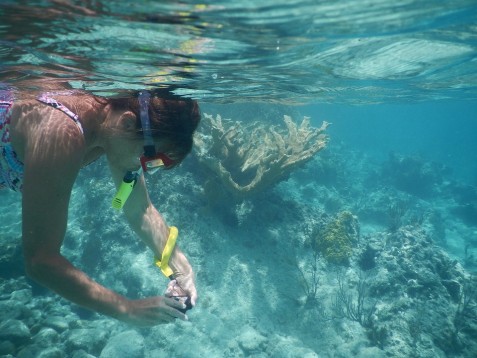 Esperienza di Snorkeling
