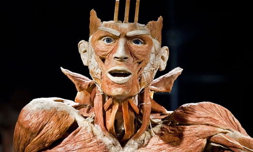 Biglietto salta coda: Body Worlds of Amsterdam