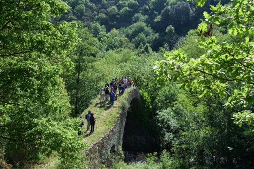 Due Notti Romantiche nello Chalet nel Bosco con Escursione sul fiume