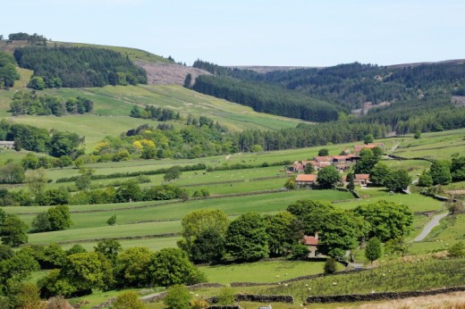Tour guidato del Parco nazionale degli Yorkshire Dales