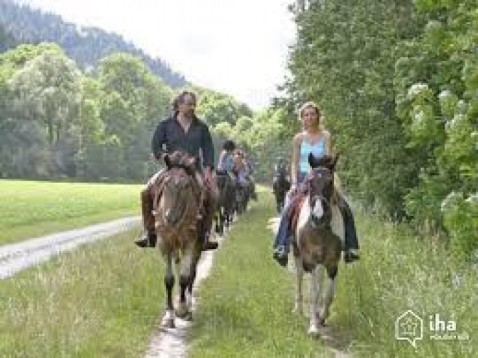 Una settimana con pensione completa in agriturismo ed esperienza yoga e horsemanship  e 6 passeggiate a cavallo