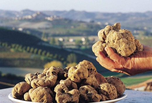 Esperienza di caccia al tartufo in Piemonte per coppie