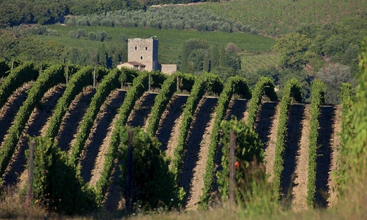 Firenze, Pisa, San Gimignano, Siena e Chianti: combo tour di 2 giorni