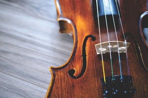 Lezione singola individuale di Violino