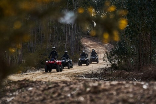 Escursione in Dune Buggy biposto