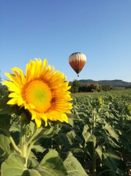 Giro in Mongolfiera a Milano Mattina Weekend