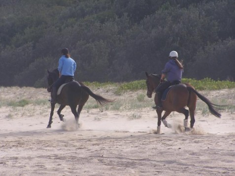 Lezione di equitazione - 2 ore & soggiorno 1 notte