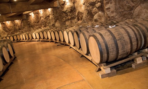 Tour del Chianti con degustazione di vini, olio e aceto balsamico