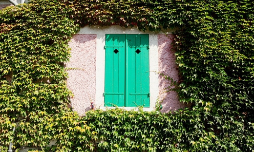 Mezza giornata a Giverny: visita guidata della casa e dei giardini di Monet