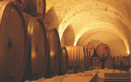 Visita e degustazione vini del Salento da Leone de Castris