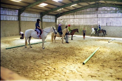 Lezione a cavallo o passeggiata & soggiorno 1 notte