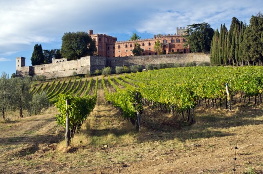 Tour dei castelli toscani con degustazione di vino Chianti