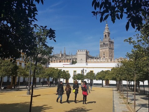 Cattedrale di Siviglia e campanile della Giralda biglietti salta fila e visita guidata