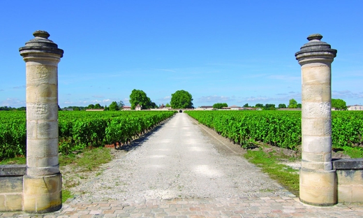 Tour guidato dei grandi vini Cabernet del Médoc