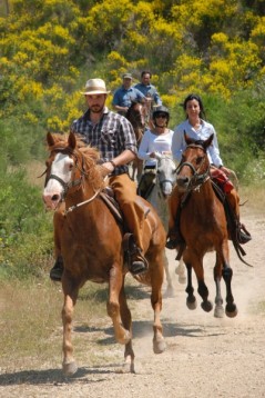 Una settimana con la mezza pensione in agriturismo e 6 passeggiate cavallo